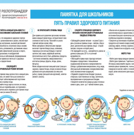 О правилах здорового питания для школьников