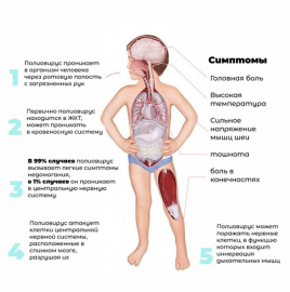 О профилактике полиомиелита.