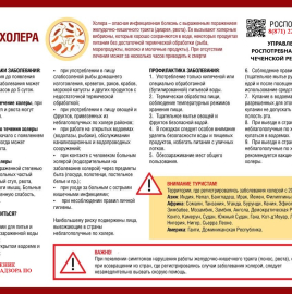 Профилактика холеры