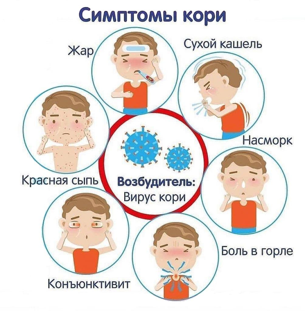 Профилактика кори