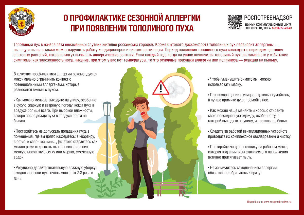 О профилактике сезонной аллергии при появлении тополиного пуха
