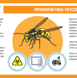 О профилактике укусов ос