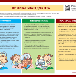 О профилактике педикулеза