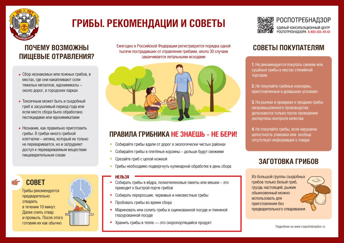 О профилактике отравлений грибами