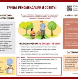 О профилактике отравлений грибами