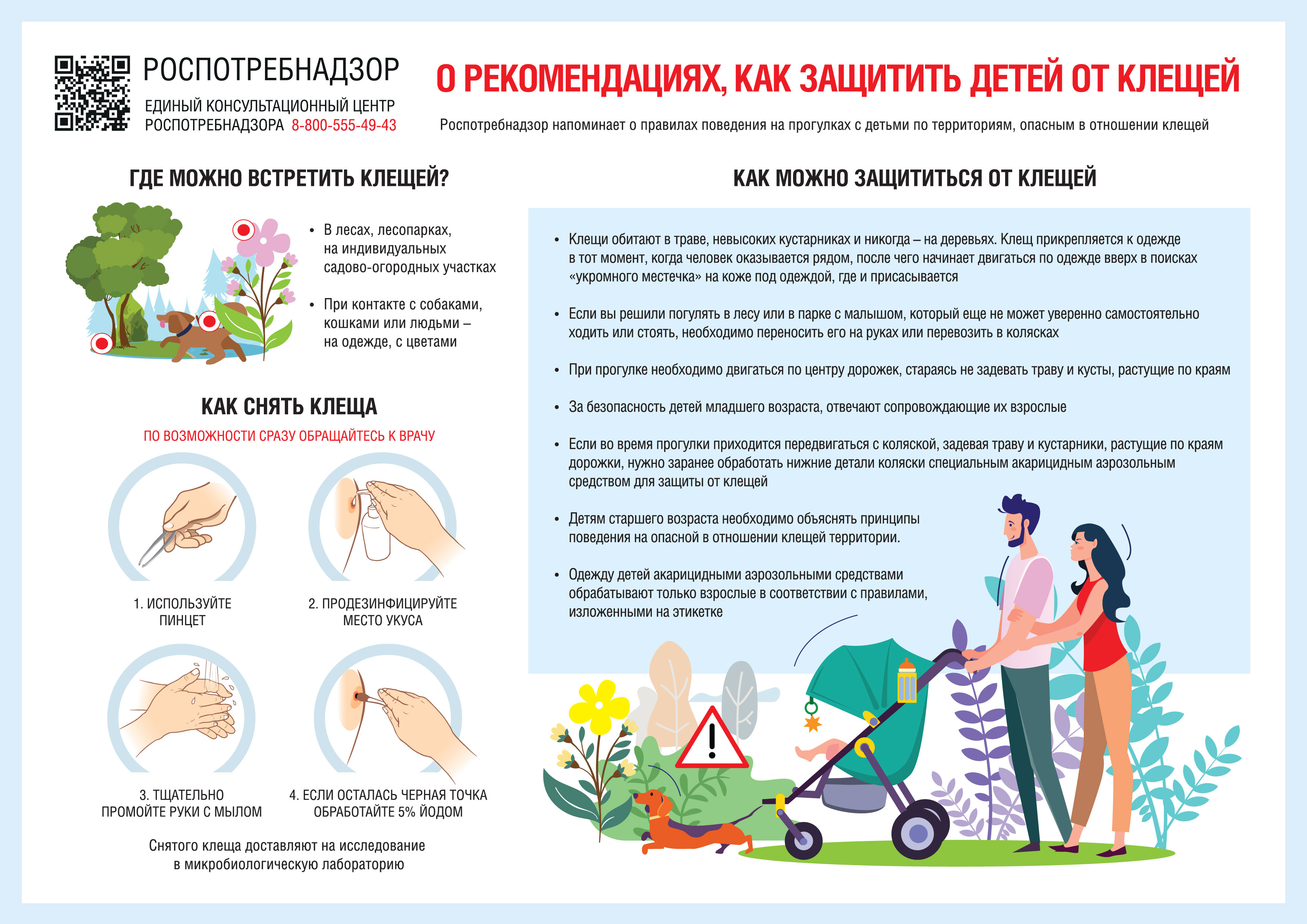 О рекомендациях, как защитить детей от клещей