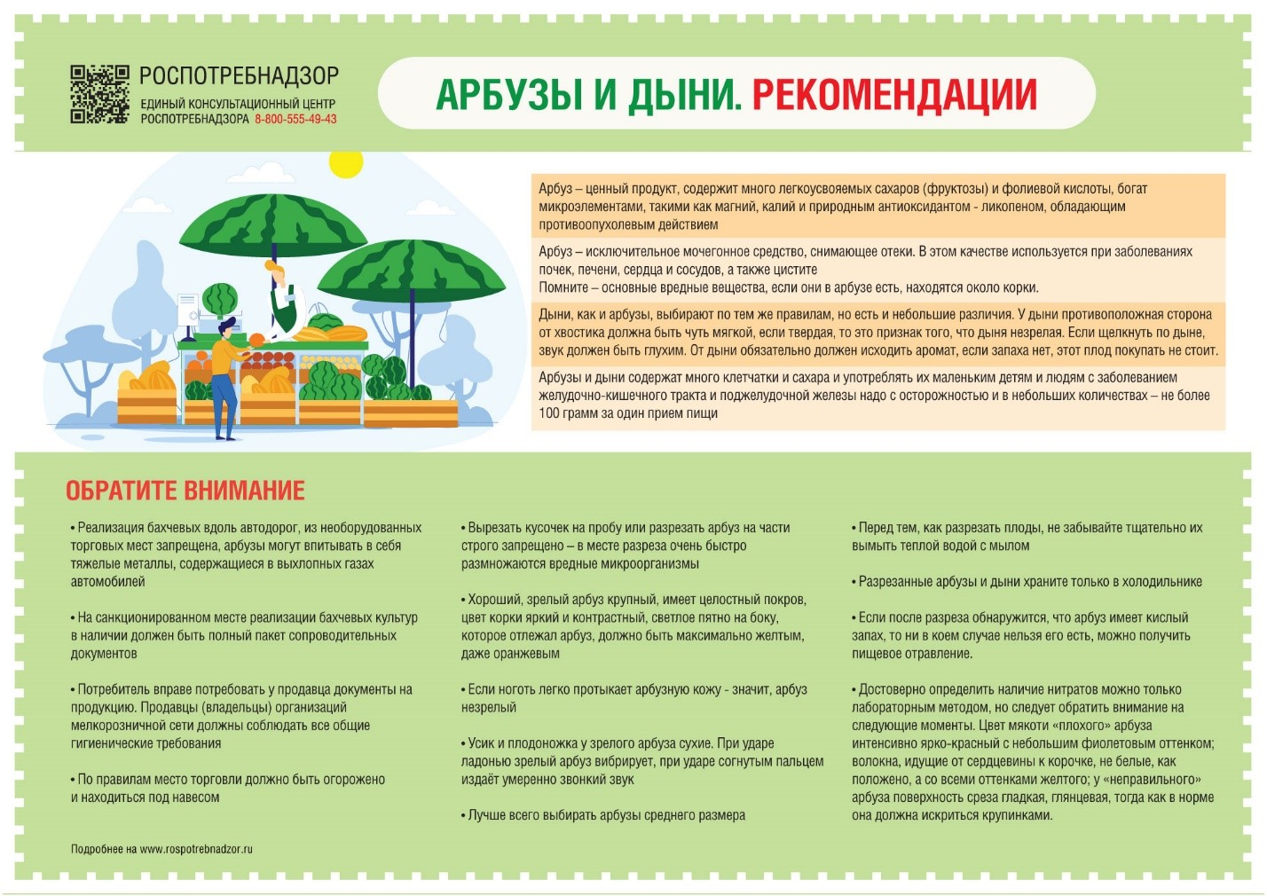 Памятка по вопросам качества и безопасности плодоовощной продукции и срокам годности