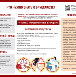 О профилактике бруцеллеза