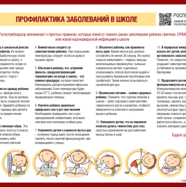 О профилактике заболеваний в школе