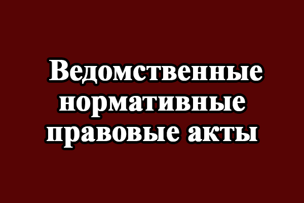  Ведомственные нормативные правовые акты