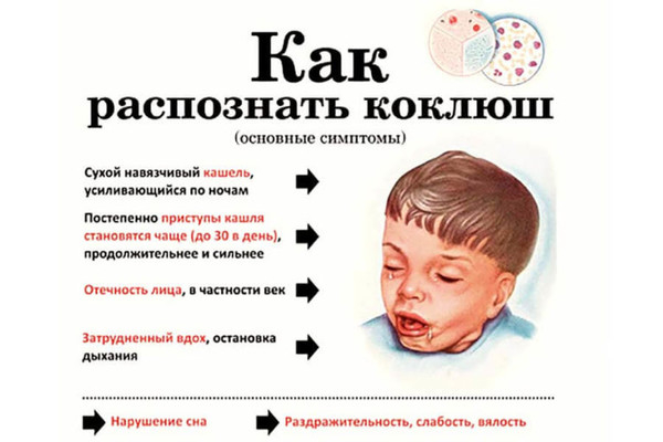 Профилактика коклюша