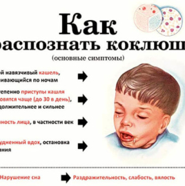 Профилактика коклюша