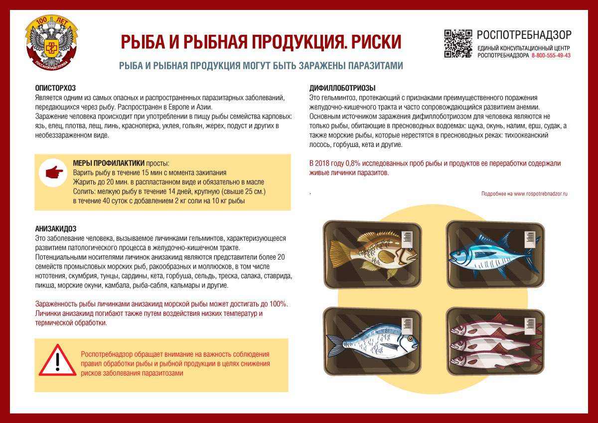 О рисках, связанных с употреблением рыбы и рыбной продукции
