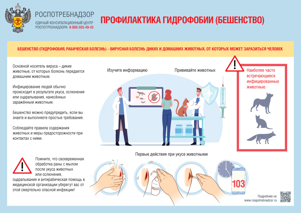 Роспотребнадзор напоминает о профилактике бешенства.