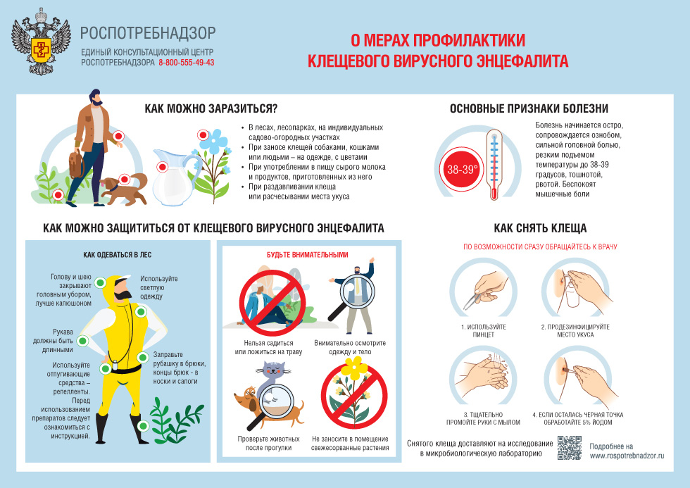 22 февраля – Всемирный день борьбы с клещевым вирусным энцефалитом