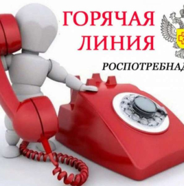 О старте «горячей линии»