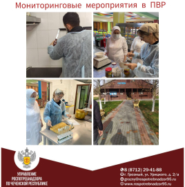 О мониторинге ПВР
