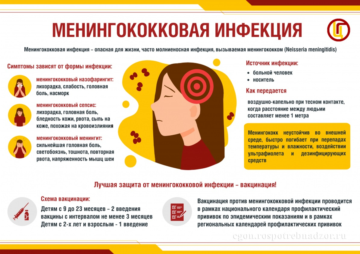 Профилактика менингококковой инфекции