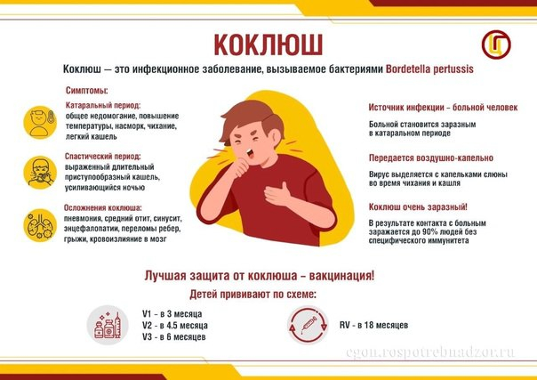 О мерах профилактики коклюша.