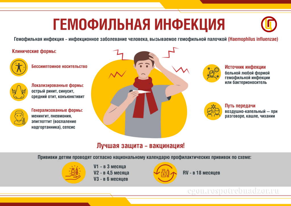 Что нужно знать о гемофильной инфекции?