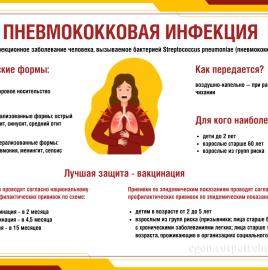 Профилактика пневмококковой инфекции