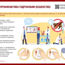 РЕКОМЕНДАЦИИ ГРАЖДАНАМ: Профилактика бешенства