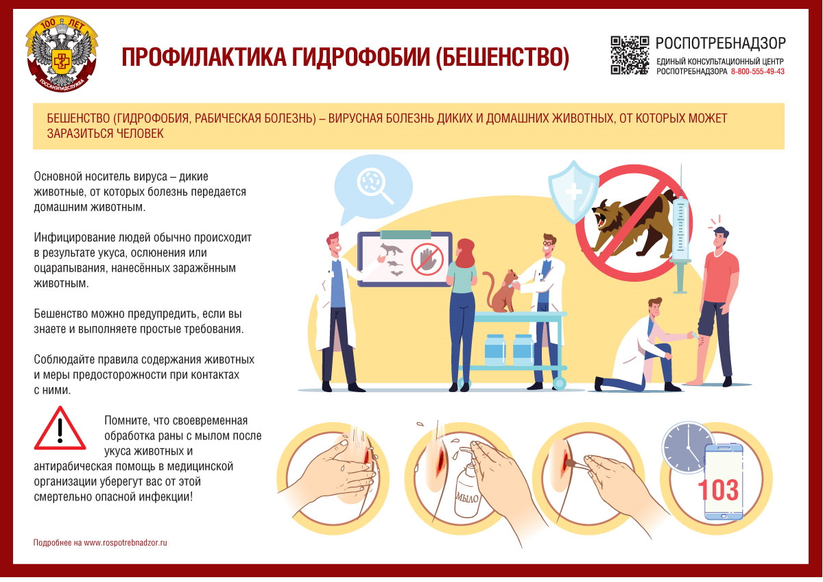 Профилактика бешенства