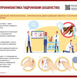 Профилактика бешенства