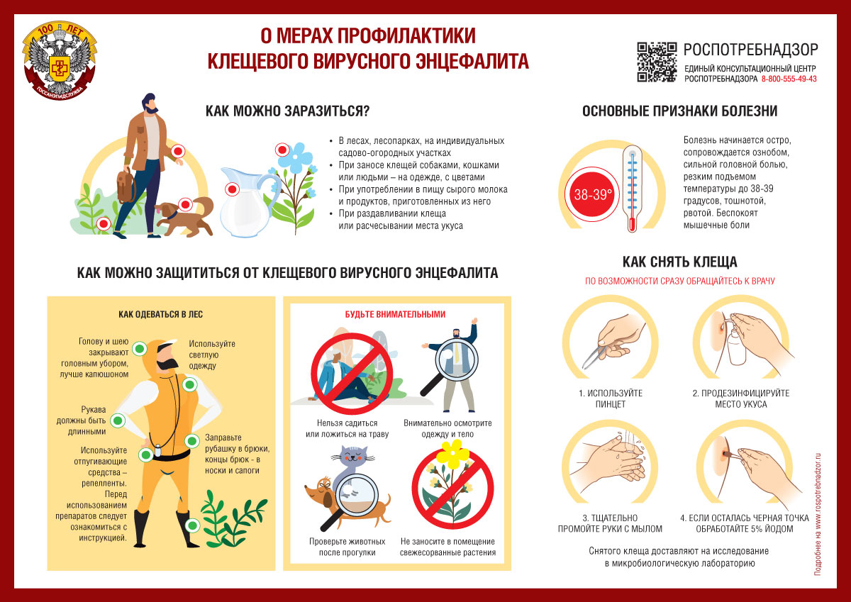 О мерах профилактики клещевых инфекций.
