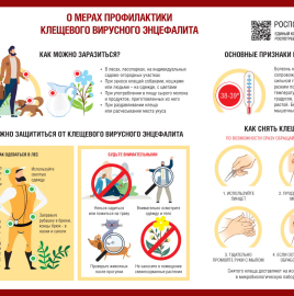 О мерах профилактики клещевых инфекций.