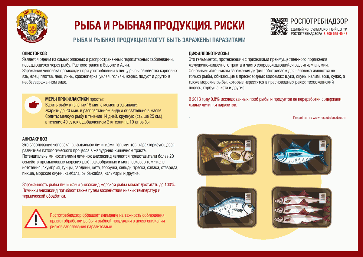 Как не заразиться паразитами через рыбу?