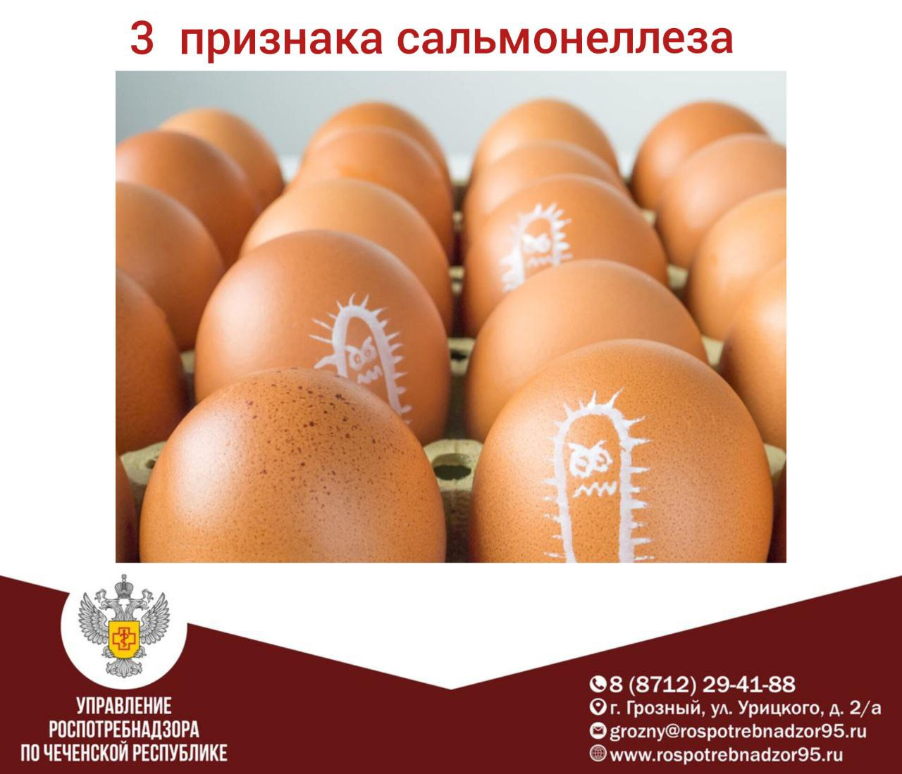 Профилактика сальмонеллеза