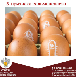 Профилактика сальмонеллеза