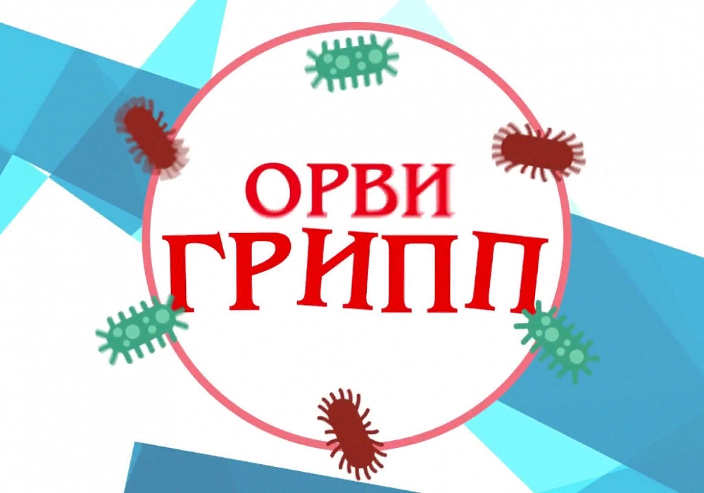 Профилактика гриппа и ОРВИ