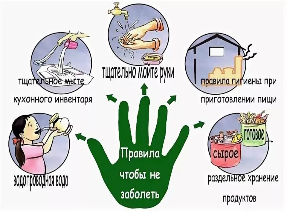 Санпросвет: пять правил профилактики кишечных инфекций!