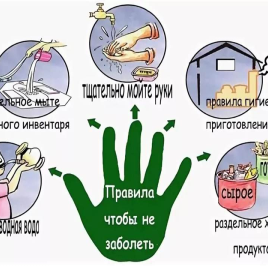 Санпросвет: пять правил профилактики кишечных инфекций!