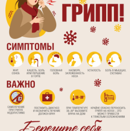 Об оперативной обстановке в Чеченской Республике за текущий период 2024 года