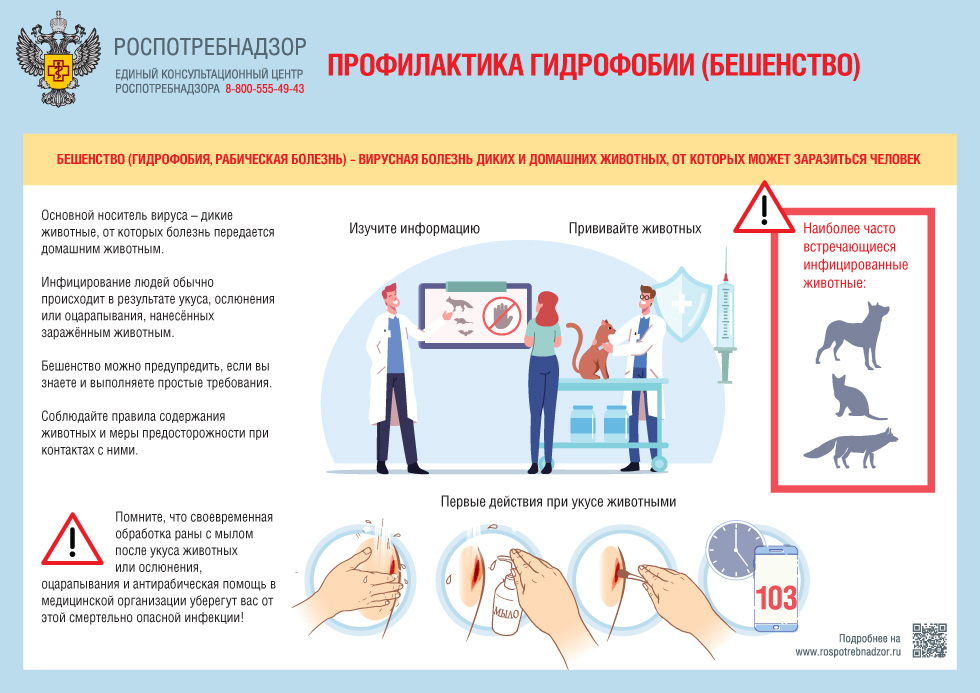 Роспотребнадзор напоминает о профилактике бешенства