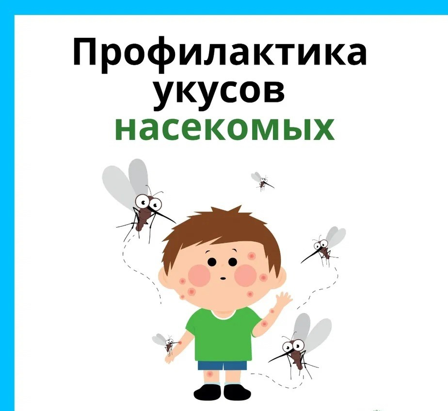 Профилактика укусов насекомых