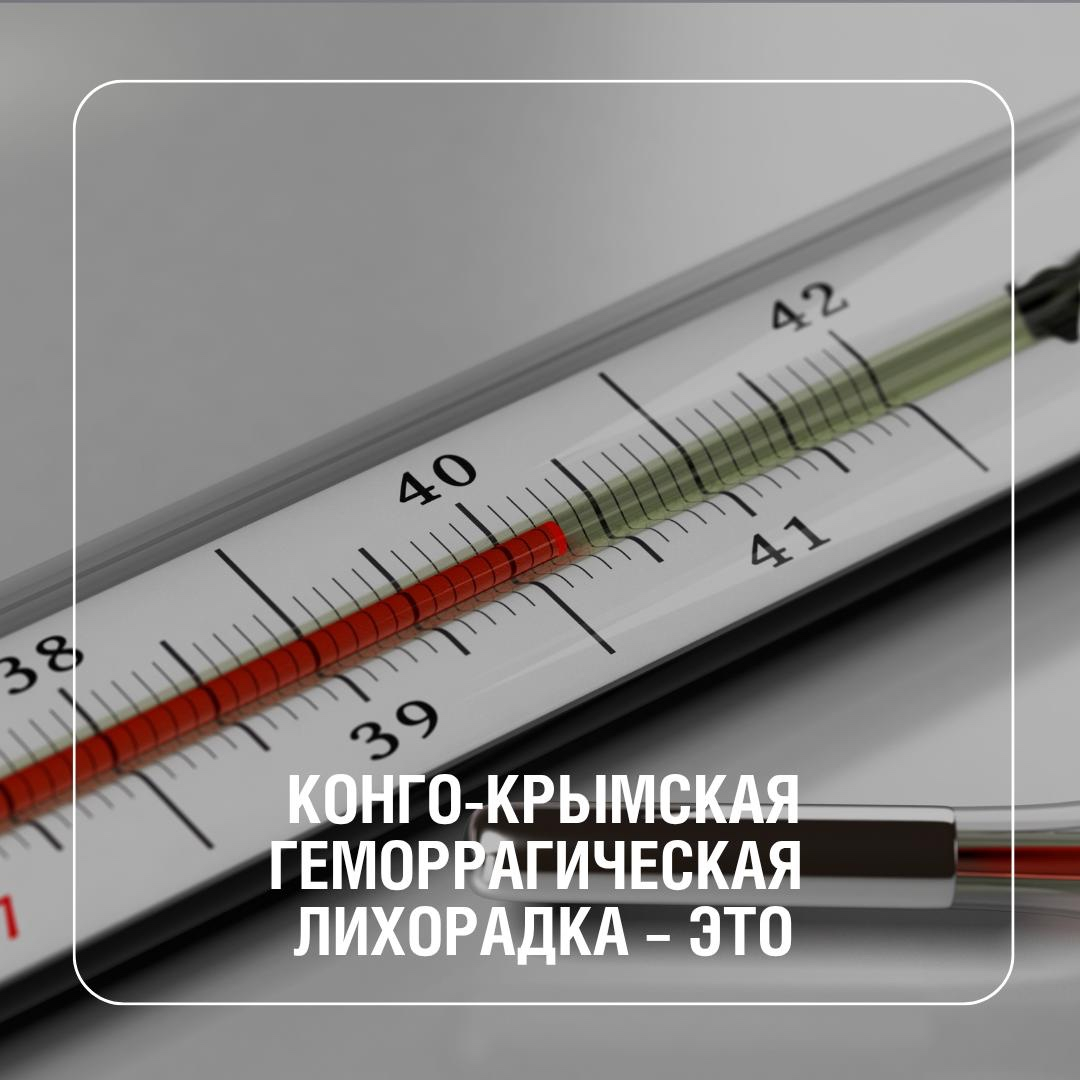 Профилактика конго-крымской геморрагической лихорадки