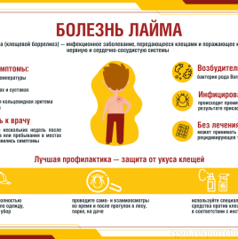 5 вопросов о клещевом боррелиозе