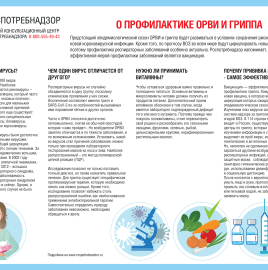 РЕКОМЕНДАЦИИ ГРАЖДАНАМ: Профилактика ОРВИ и гриппа
