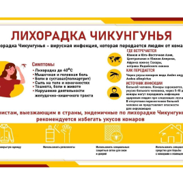 Памятка по лихорадке Чикунгунья
