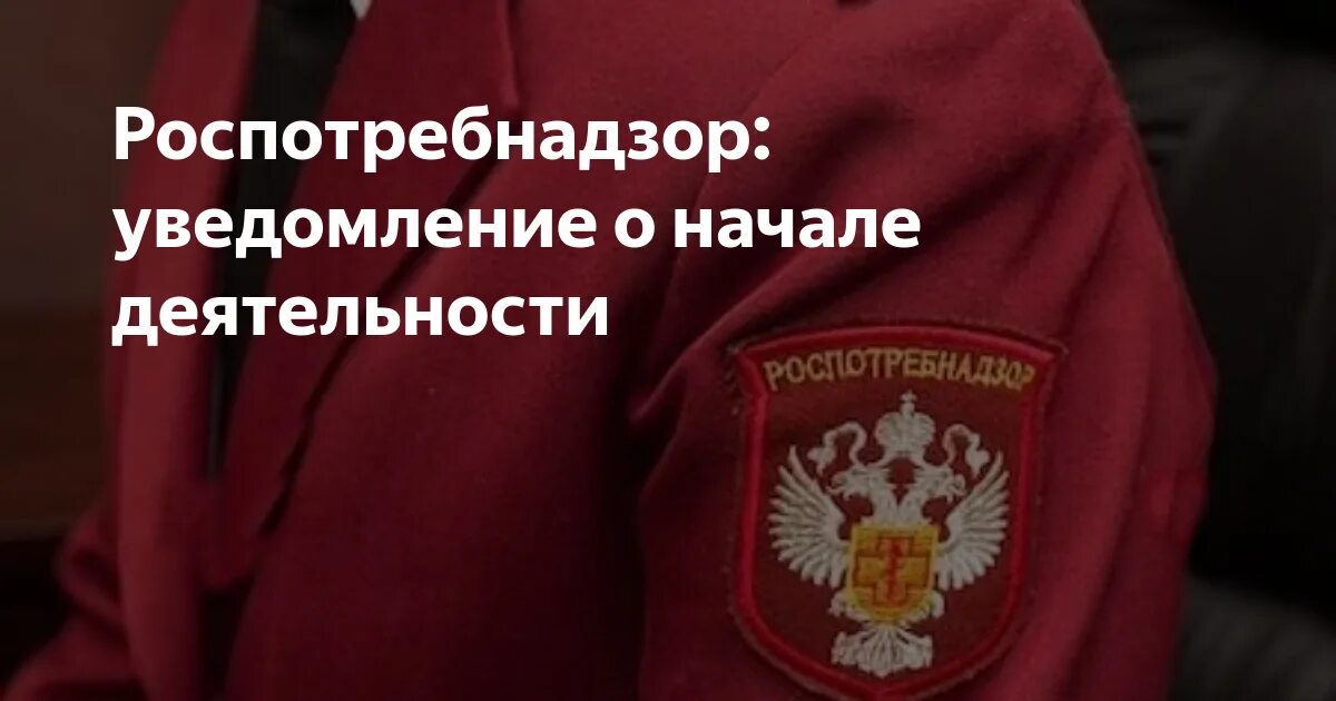 Кому и как нужно подать уведомление о начале предпринимательской деятельности в Роспотребнадзор