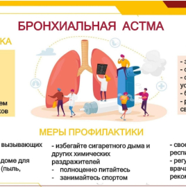 11 декабря отмечается Всемирный день больного бронхиальной астмой