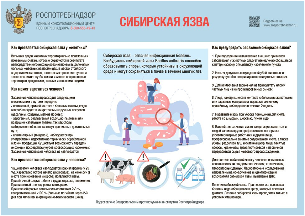 Вакцинация от сибирской язвы