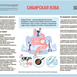 Вакцинация от сибирской язвы