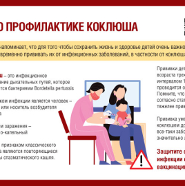 О мерах профилактики коклюша