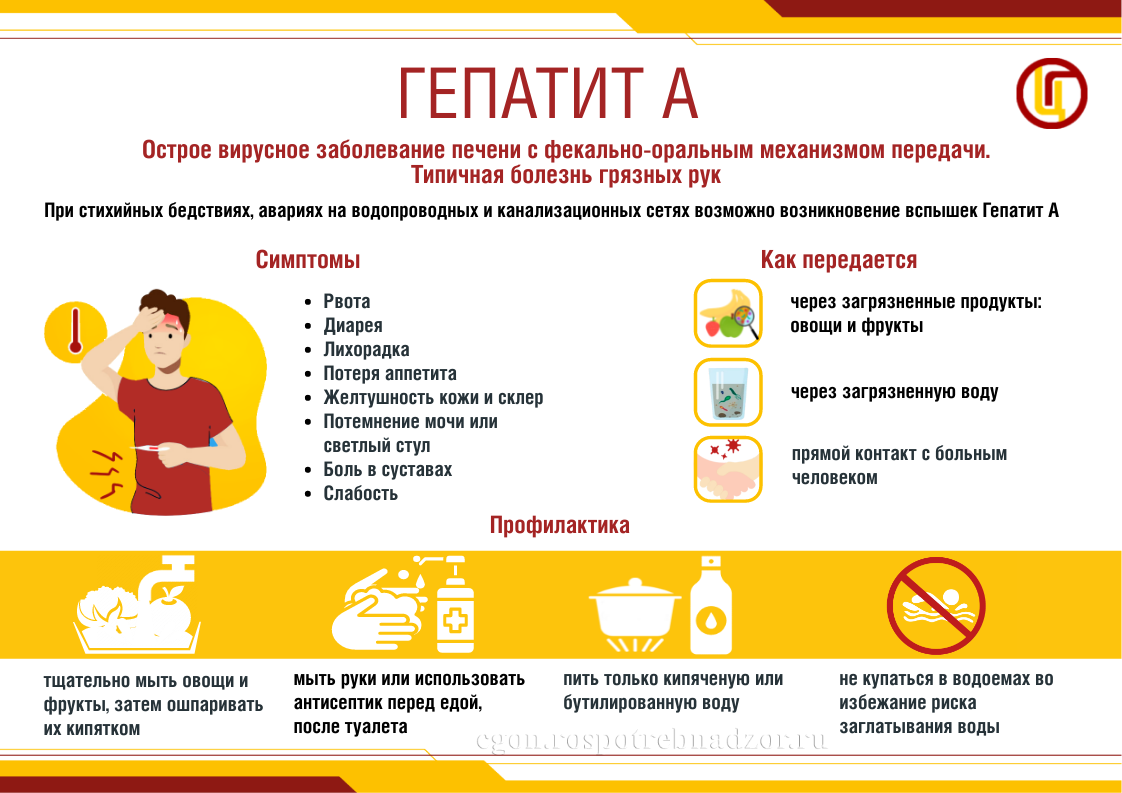 Симптомы, лечение и профилактика вирусного гепатита А