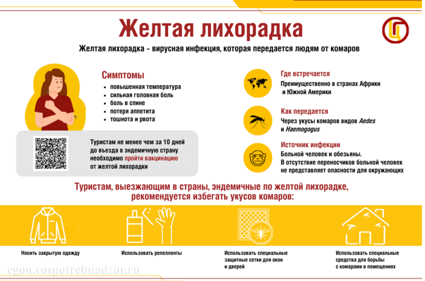 Профилактика желтой лихорадки
